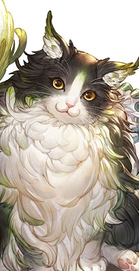 引坂理絵